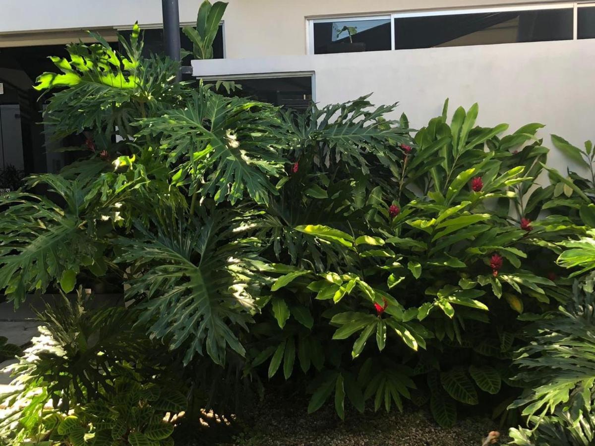 Costa Rica San Jose Full And Comfortable Apartament Pinares Curridabat Екстериор снимка